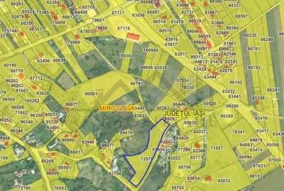 Teren de 7009 mp, în Ciurbești - 2