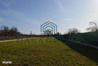 Spațiu comercial, în Biharia - 7