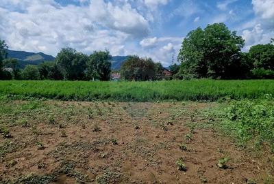 Teren 2743 mp, 2 fronturi, asfalt Vii?oara, Neam? - 11