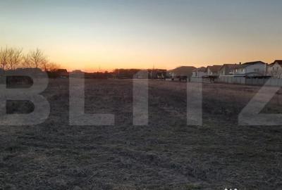 Teren de 13726 mp, în Mehala