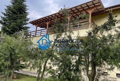 Vila Mineri, D+P+1, teren 1600 mp - 17