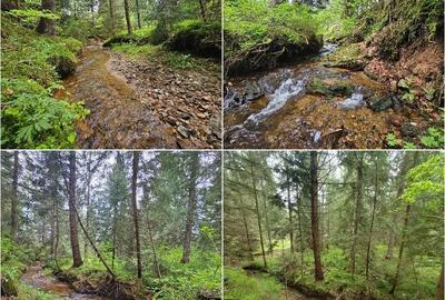 Casă cu Teren 2000 Mp în Dealu Negru - 7