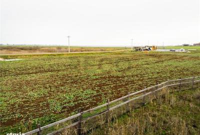 Spațiu comercial, în Roit - 5