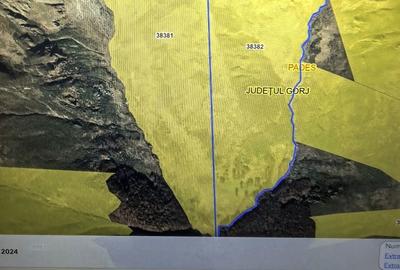 Teren de 780000 mp, în Padeș - 10