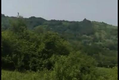 Teren de 5531 mp, în Drajna - 8