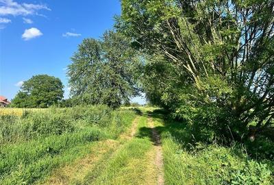 TEREN INTRAVILAN, 1200 mp, HARMAN, COMISION 0% - 2