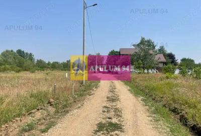 Teren de 1000 mp, în Domnești - 3