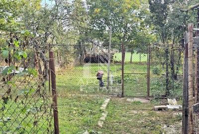 Casa individuala, zona Mehala, 740 mp teren - 11