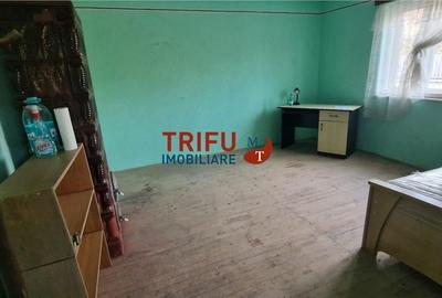 Casă de vânzare zona Cetate Schit 740 mp teren - 3