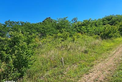 Spațiu comercial, în Drâmbar - 3