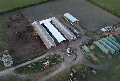 Teren de 3000 mp, în Exterior Vest - 1