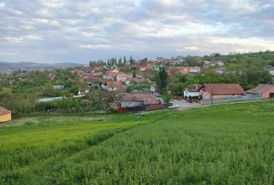 Teren de 2983 mp, în Târnăveni - 2