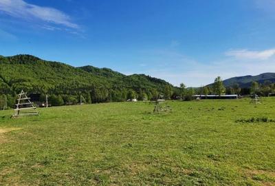 TEREN | 4.000 mp (2 loturi) | Valea Doftanei | ATRA DOFTANA - 3