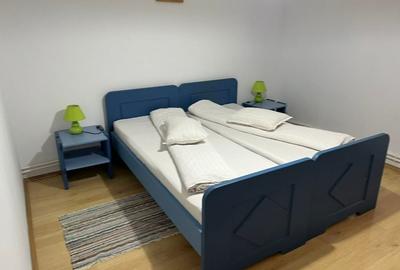 Hotel/Pensiune, de 400 mp, în Lepșa - 19