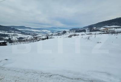 Teren de 990 mp, în Jelna - 4