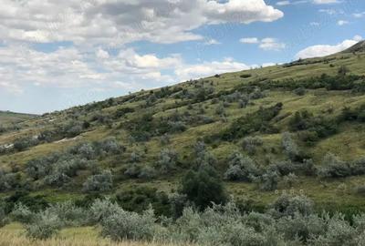 Vanzare 50 Ha pasune, judetul Prahova - 15