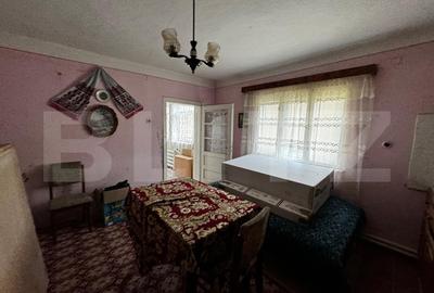 Proprietate cu 2 case, teren 2ha, zona Zlatna - Muntii Apuseni - 7
