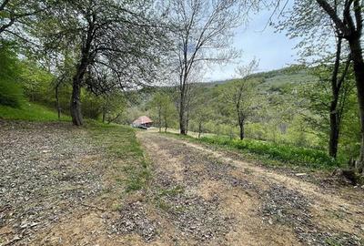 Casă cu Teren 15000 Mp în Bătrâna - 2
