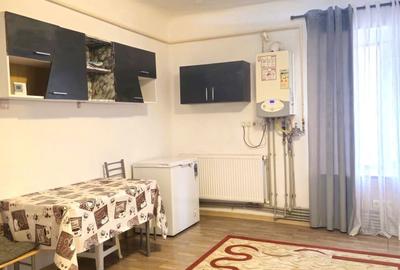 Casă individuală cu 2 camere cu Canalizare în Central - 2