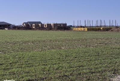 Spațiu comercial, în Balotești - 6