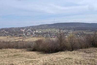 Teren Construcții intravilan de 11300 mp, în Bârnova - 5