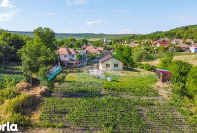 Casă cu 2 camere cu Teren 3100 Mp în Cornești - 1