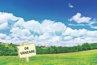 Teren agricol extravilan de 25465 mp, în Central