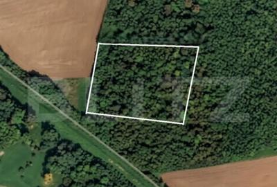 Teren de 10000 mp, în Central