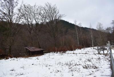 Spațiu comercial, în Central - 7