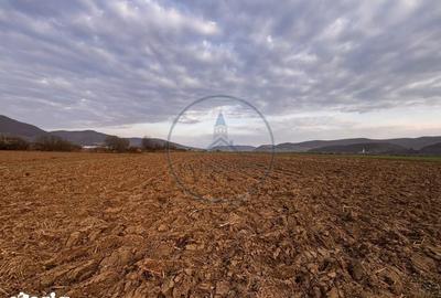Teren de 2500 mp, în Șieu - 5
