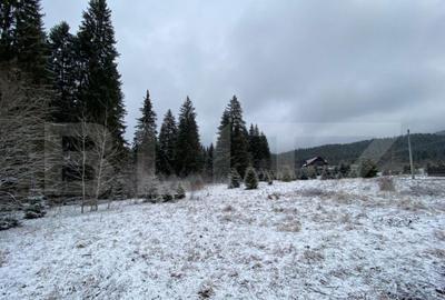 Vila cu potential de transformare in pensiune, 13 camere, Ti - 17