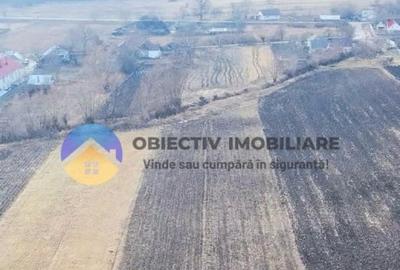 Teren Construcții intravilan de 10515 mp, în Bodești - 14