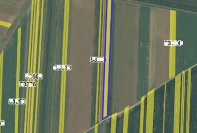 Teren de 10000 mp, în Plenița - 2