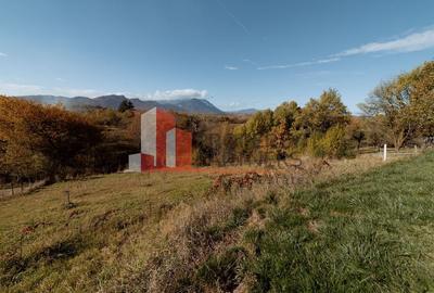 Casa de vacanta Bran -  Sohodol - 20