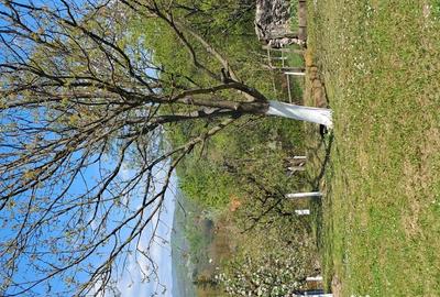 Teren de 10000 mp, în Tomșani - 10