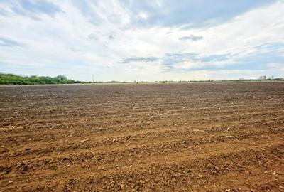Teren Construcții intravilan de 7900 mp, în Bucov - 8