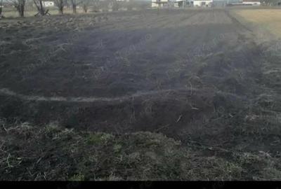 Casă în Frătăuții Noi - 5