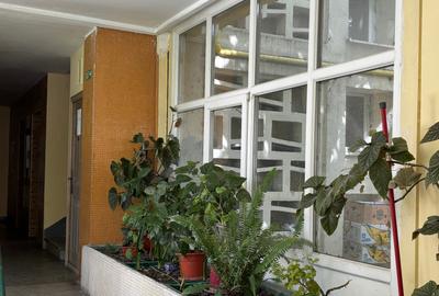 Garsoniera superba in centrul capitalei renovata si utilata complet,totul nou - 13