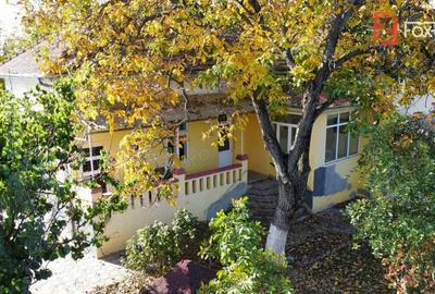 Casă cu 3 camere cu Canalizare în Freidorf - 17