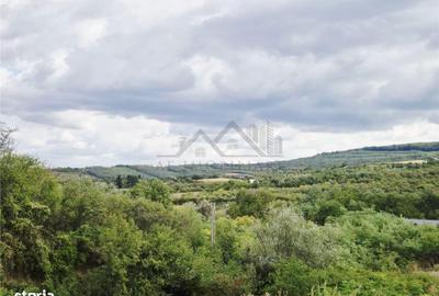 Teren de 564 mp, în Tomești - 4