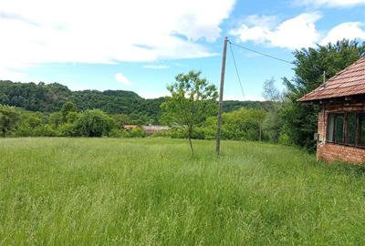 Teren agricol extravilan de 16000 mp, în Borlovenii Noi - 2