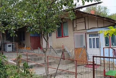 Casă cu 3 camere cu Teren 2681 Mp în Frumușelu - 2