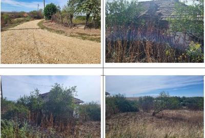 Casă cu 2 camere cu Teren 1691 Mp în Guruieni - 11