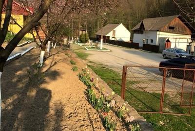 Teren pentru investitii 11.000 mp - 38