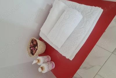 Apartament cu 2 camere semidecomandat în Titan - 3