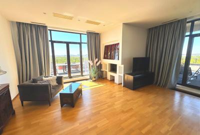 Penthouse  4 camere  Erou  Iancu Nicolae - 6