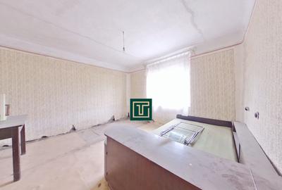 Casă tradițională cu teren generos în Secusigiu, județul Arad Casă tradițională cu teren generos în Secusigiu, județul Arad - 10