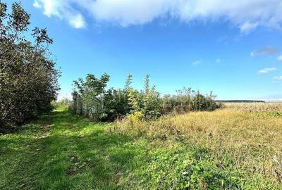 Livada+gradina, teren intravilan 2902mp, Damienesti-Bacau... - 10