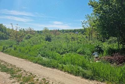 Teren de 1383 mp, în Bolintin-Deal - 3