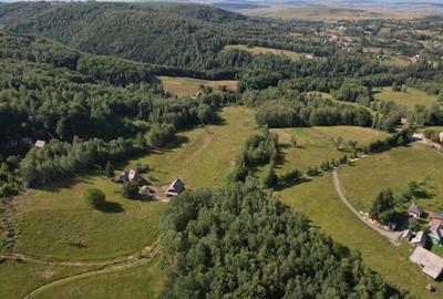 Teren de 38781 mp, în Râșca - 2